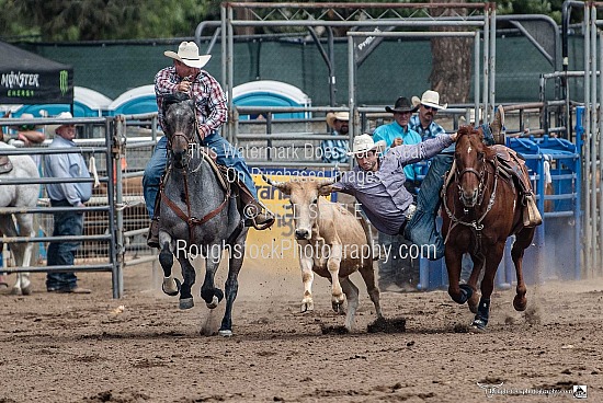 Steer Wrestling