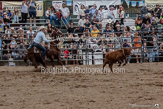 Tie Down Roping