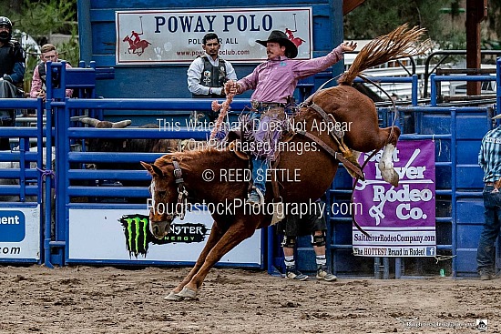 Saddle Bronc Re-Ride