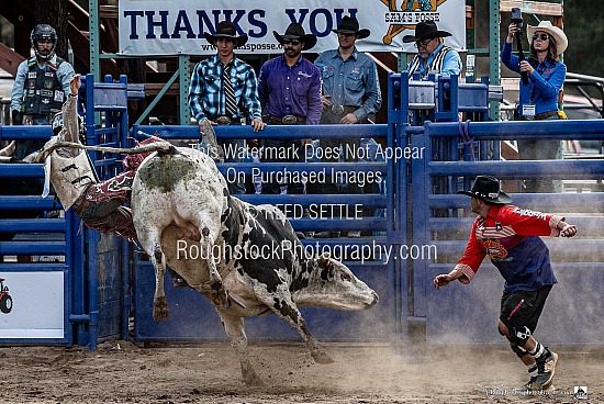 Bullfighters