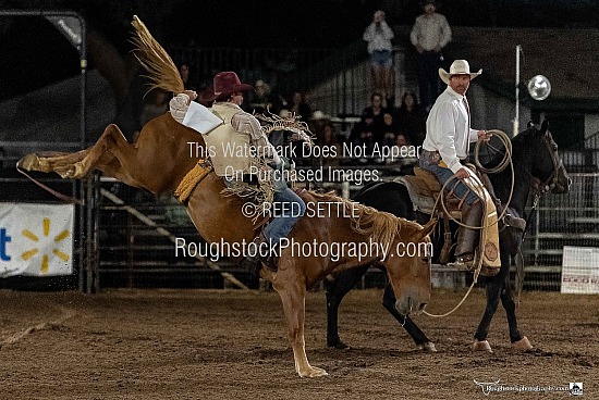 Bareback