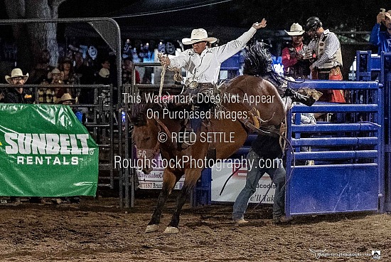Saddle Bronc Re-Ride