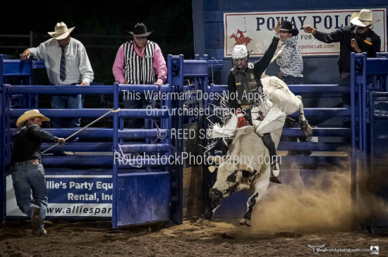 Roughstock