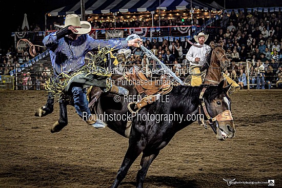 SaddleBronc
