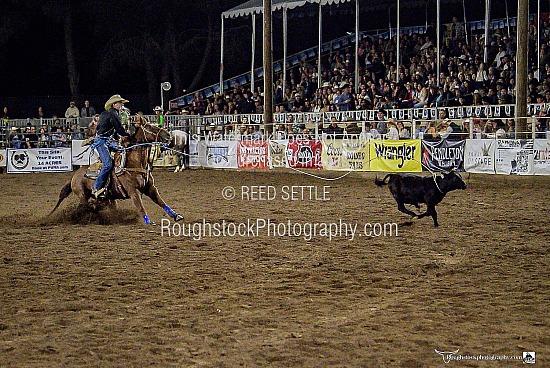 Tie Down Roping
