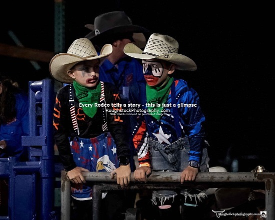 Sheepfighters