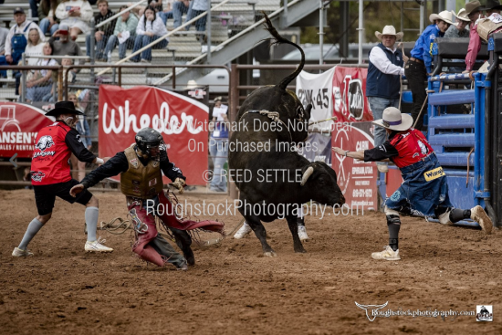 Bullfighters